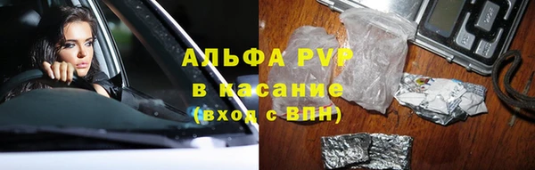 прущая мука Вяземский
