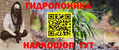прущие грибы Новодвинск