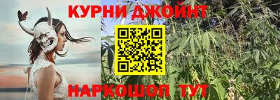 прущие грибы Новодвинск