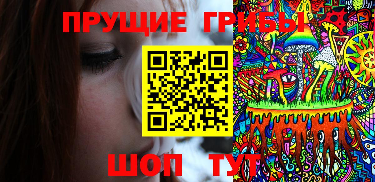 Псилоцибиновые грибы мицелий Чита